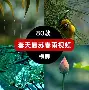 开元官方网站-风云突变！里昂赛前迎来里程碑，全明星赛版图或变，媒体盛赞，细节决定成败(云朵现场一首天上的云儿)